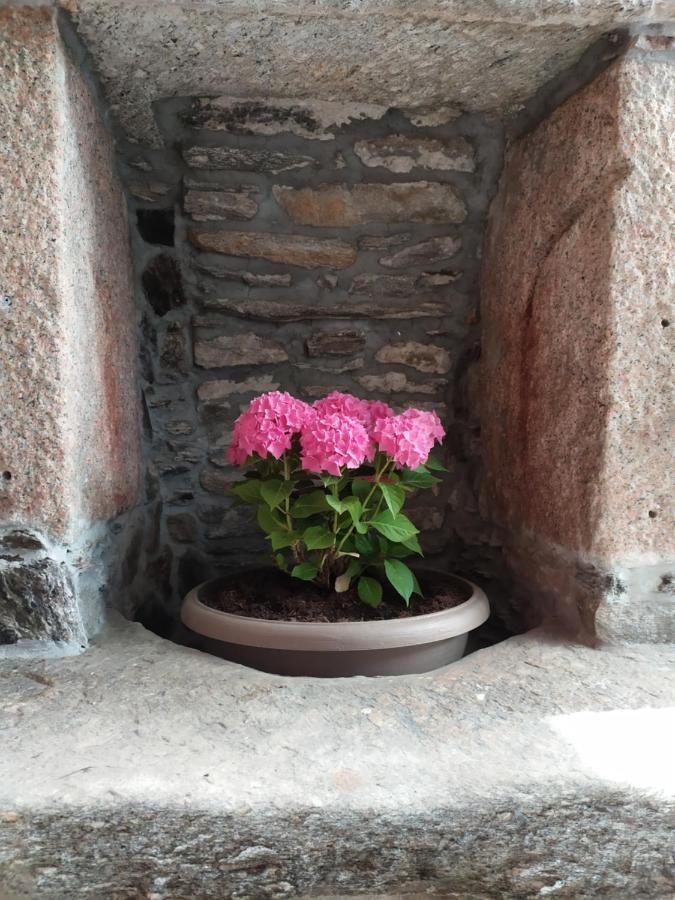 Hotel Al San Michele Stresa Zewnętrze zdjęcie